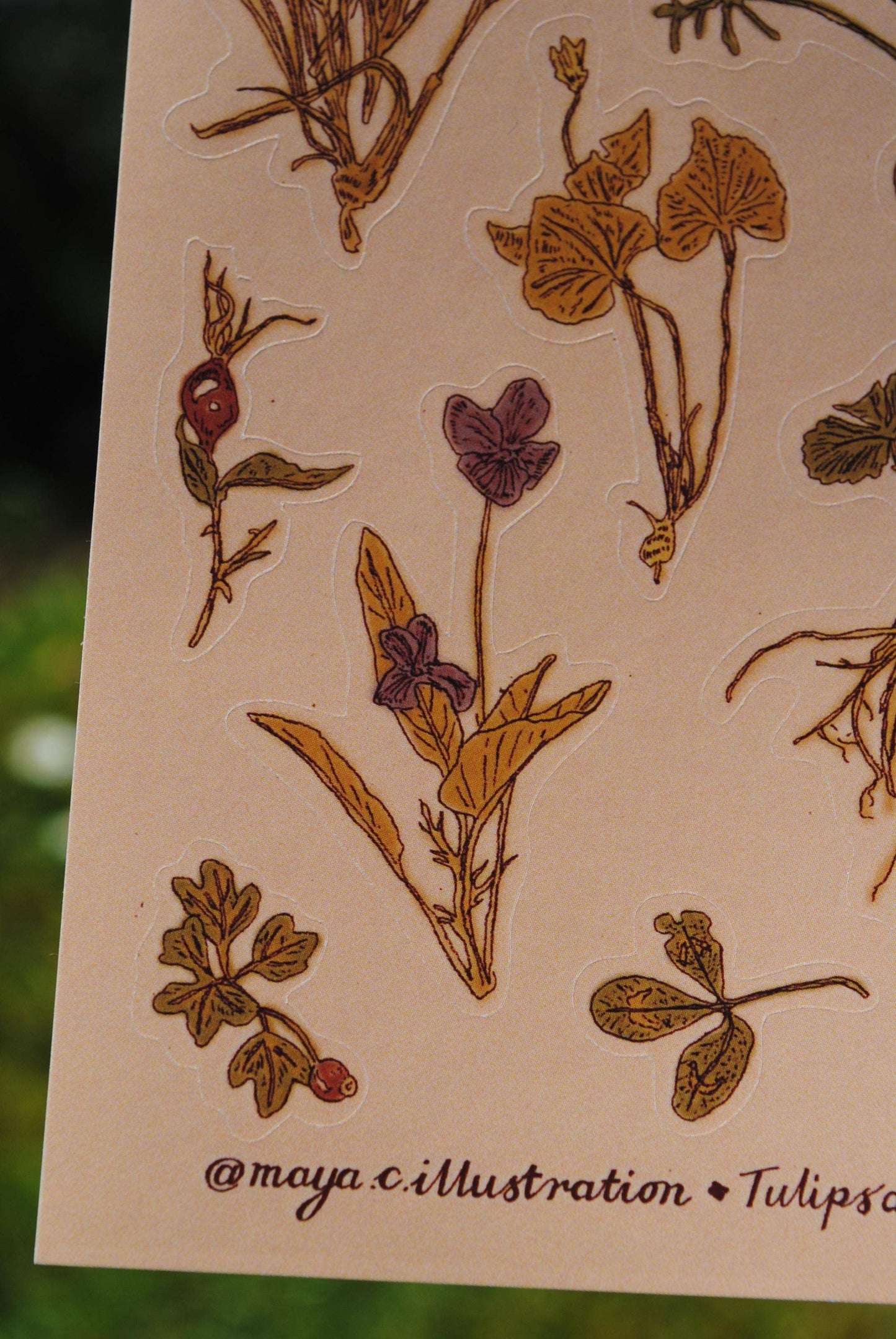 "Dried Flowers" Sticker Sheet