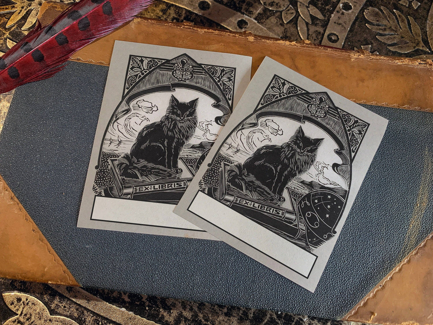 Mysterious Black Cat Bookplate