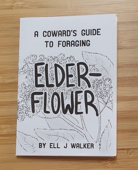 A Coward's Guide to Foraging Zine - Elder Flower