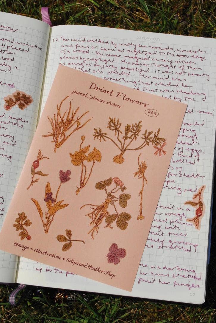 "Dried Flowers" Sticker Sheet