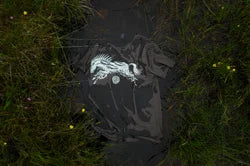 'Each Uisge/Water Horse' T-Shirt by Hester Aspland