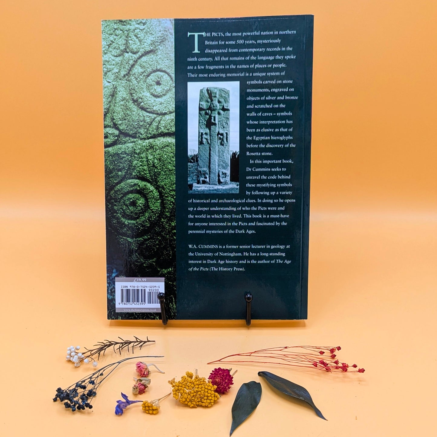 Decoding the Pictish Symbols