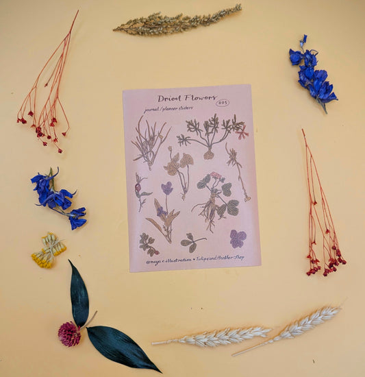 "Dried Flowers" Sticker Sheet