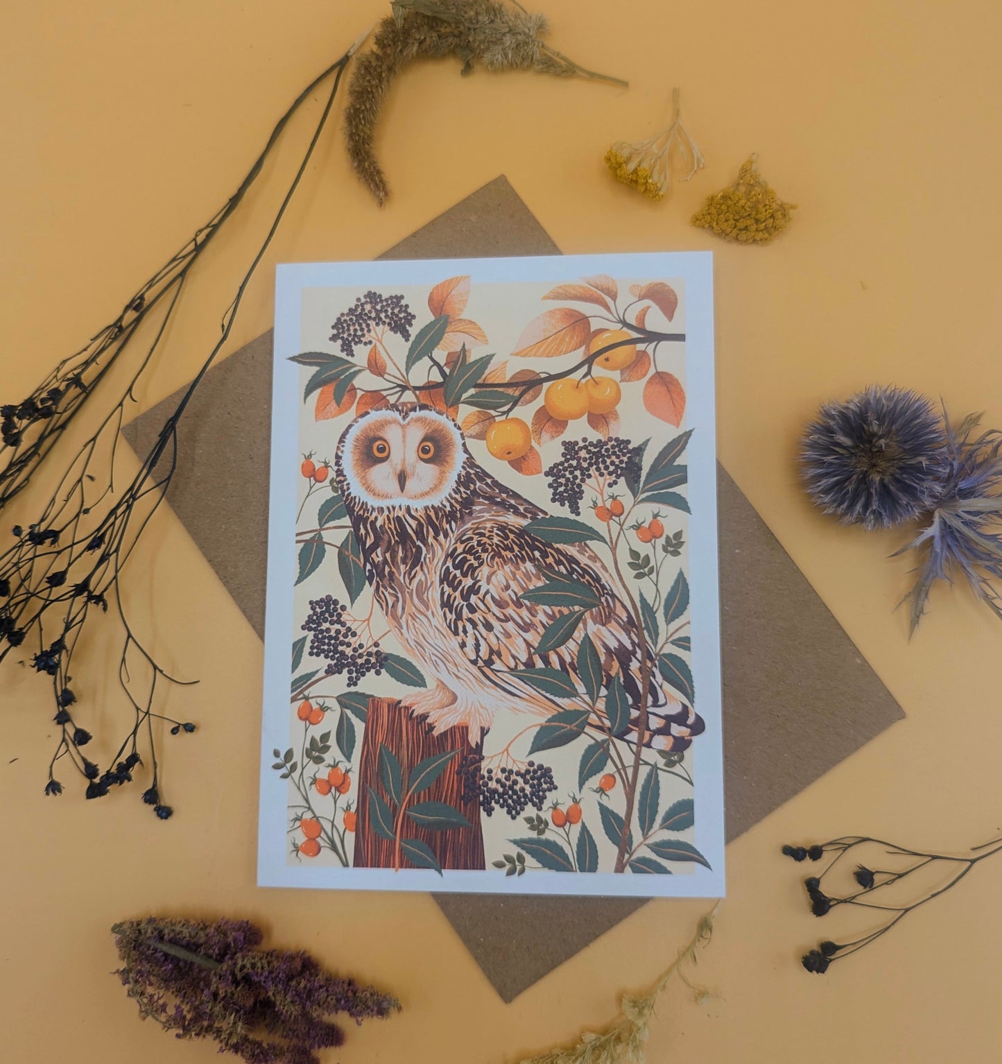 Autumn Owl | Everyday greetings card | Autumn, nature