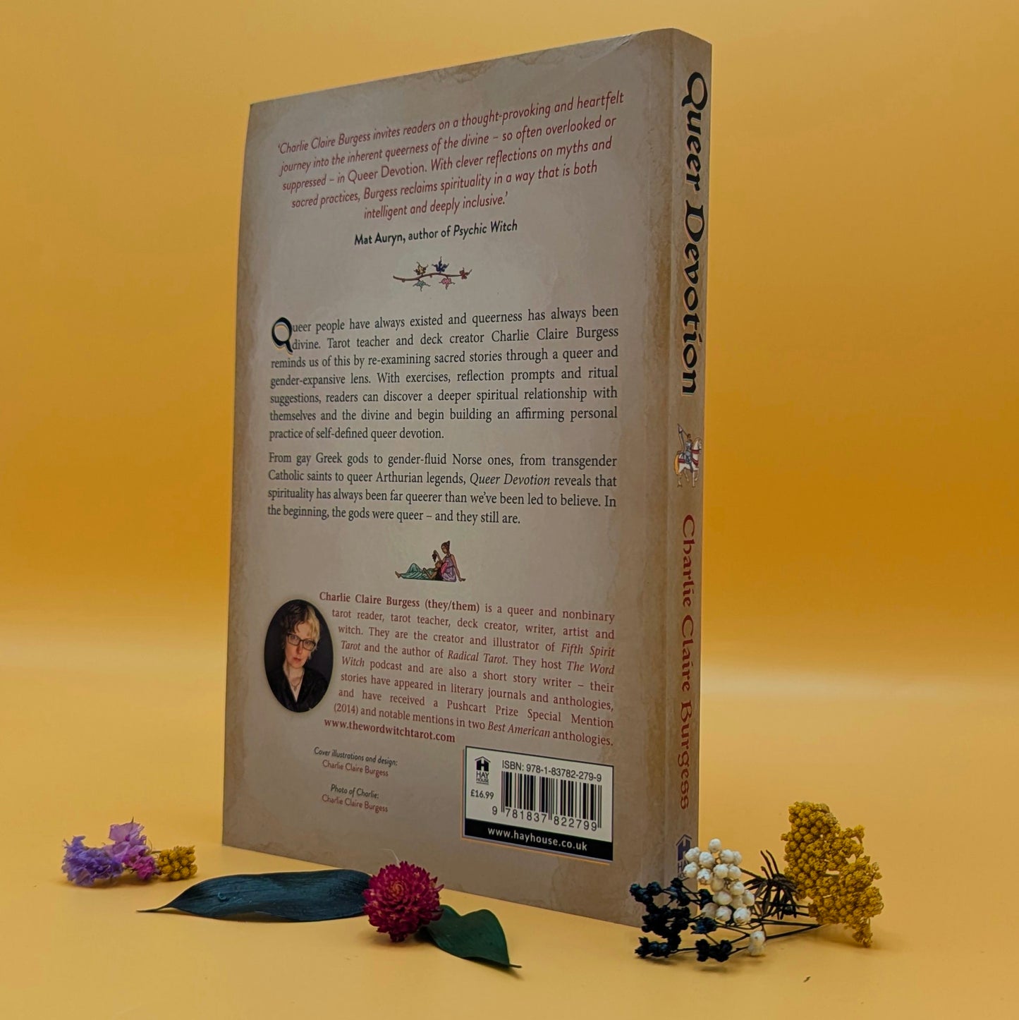 Queer Devotion : Spirituality Beyond the Binary in Myth, Story and Practice