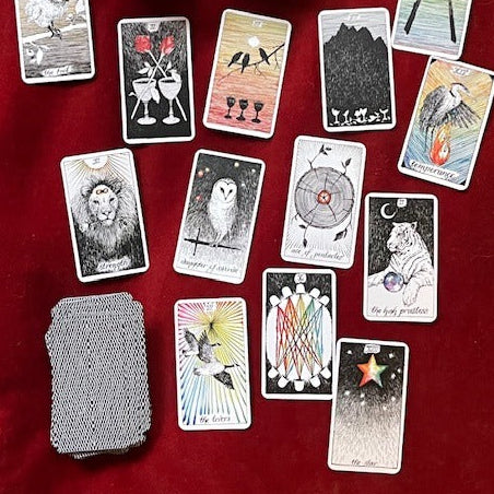 The Wild Unknown Tarot Deck and Guidebook (Official Keepsake Box Set)