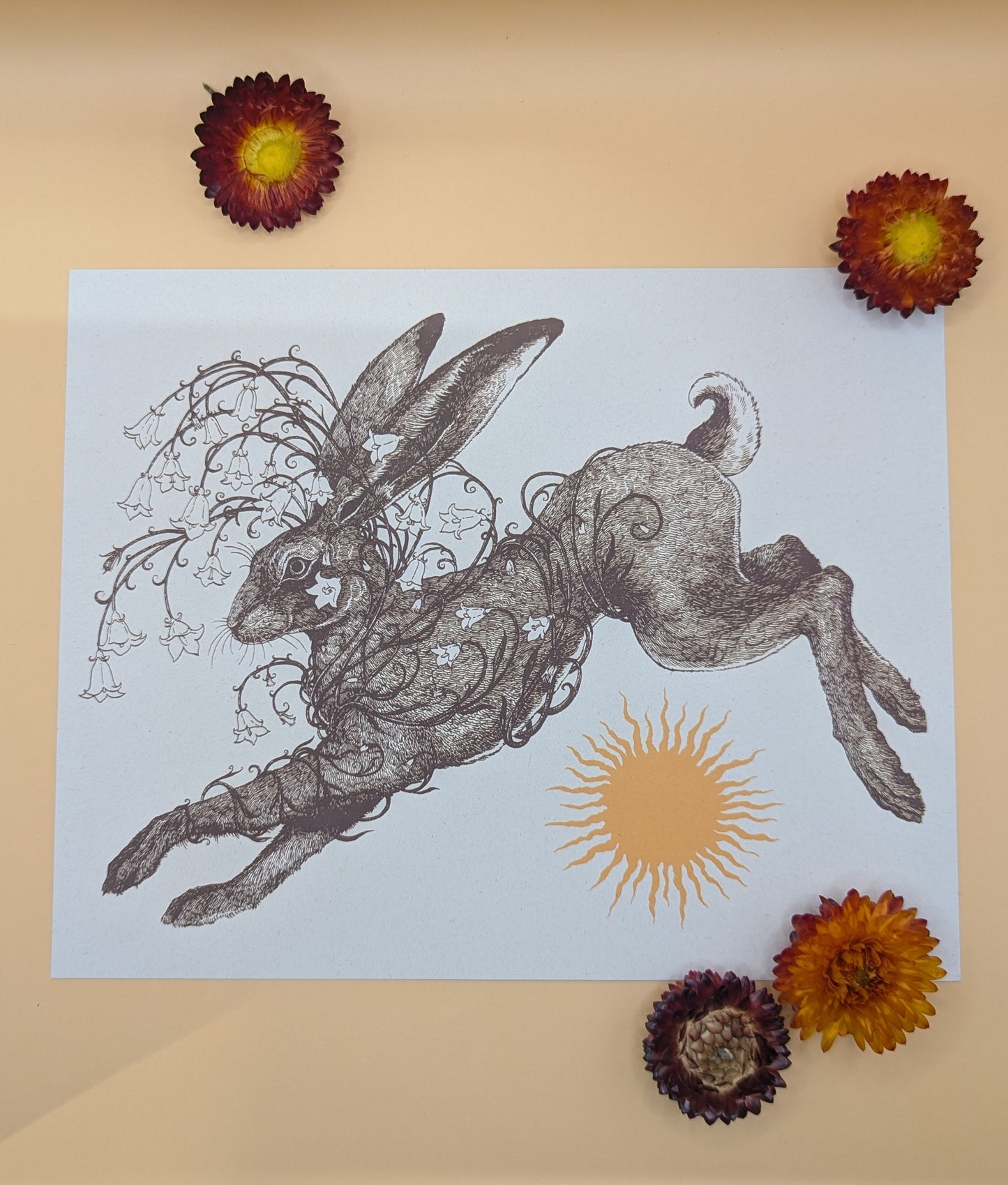 ‘Hare’ Print Hester Aspland