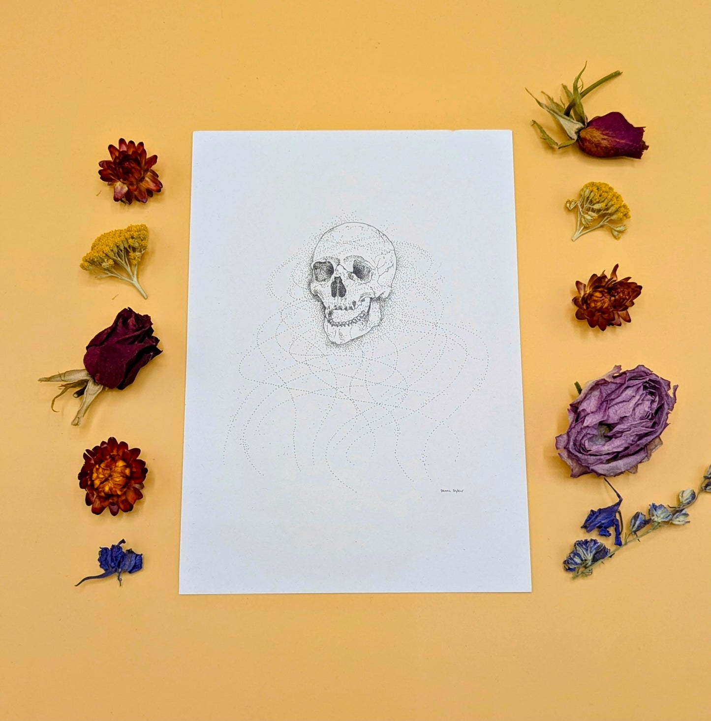Floating Skull