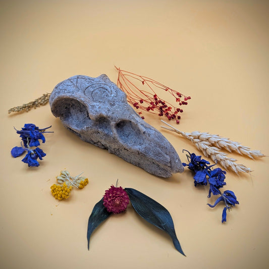 Crow Skull Shower Bar - 'Wildman'