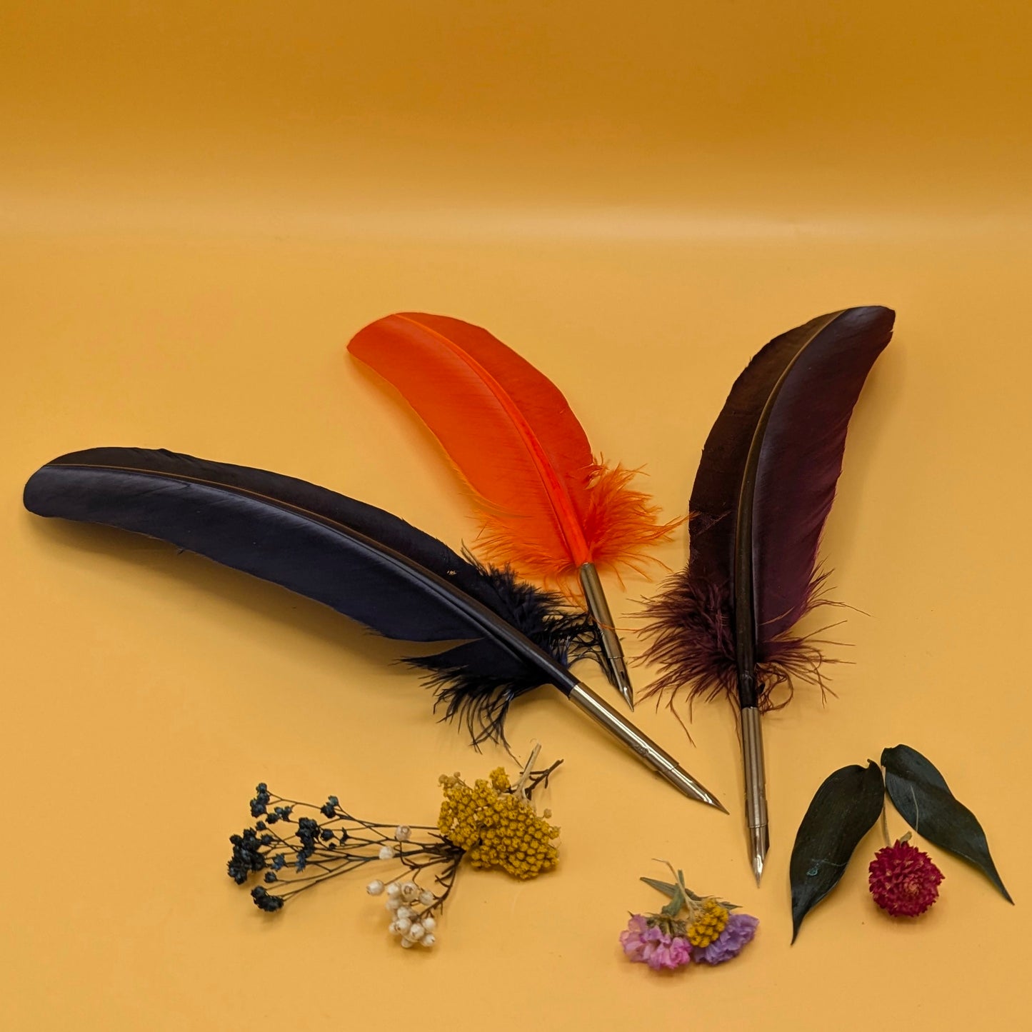 Feather Quill Pen