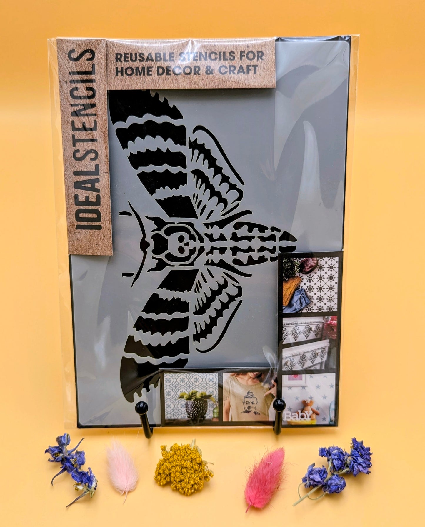 Death Head Moth Stencil