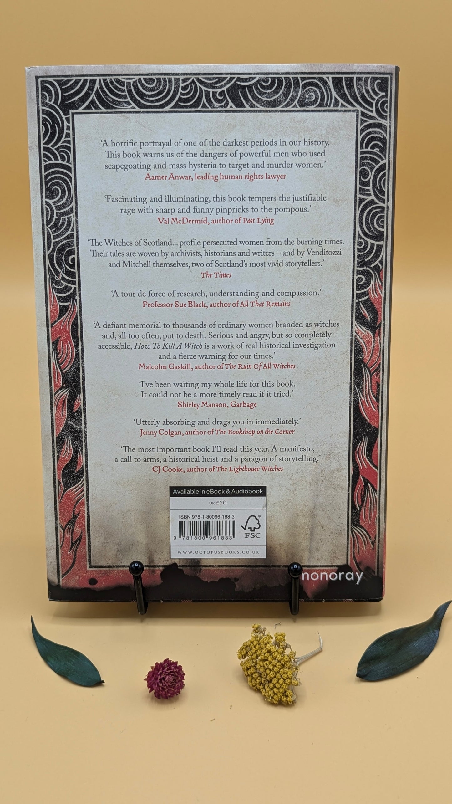 How to Kill a Witch: A Guide for the Patriarchy