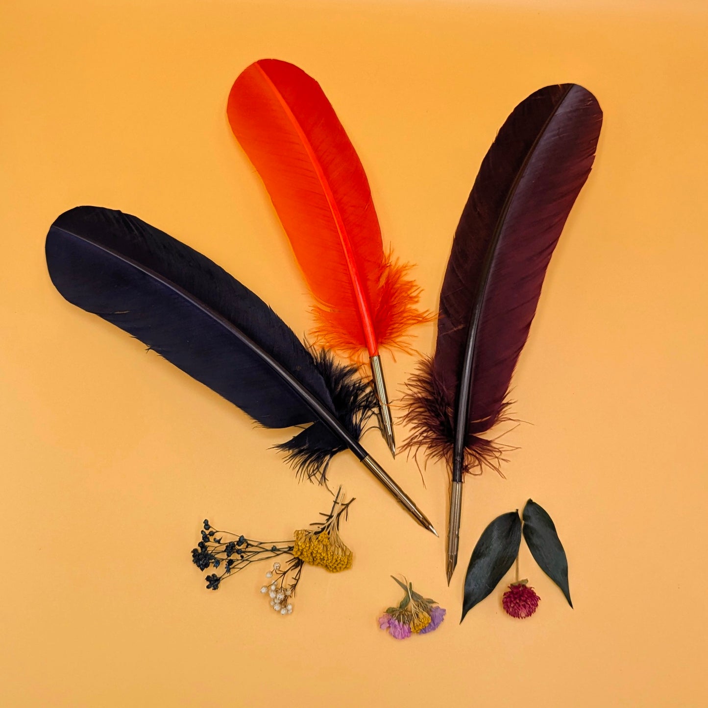 Feather Quill Pen