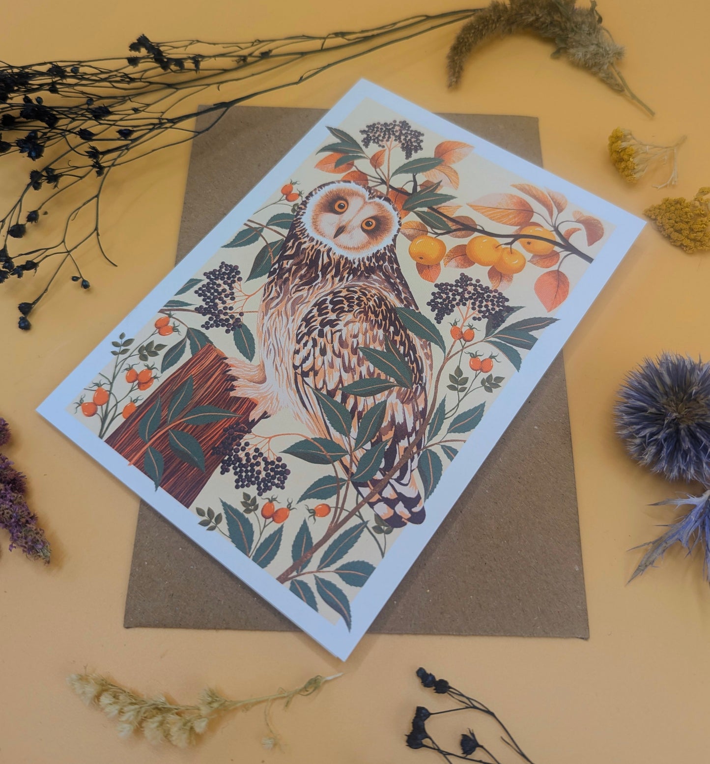 Autumn Owl | Everyday greetings card | Autumn, nature