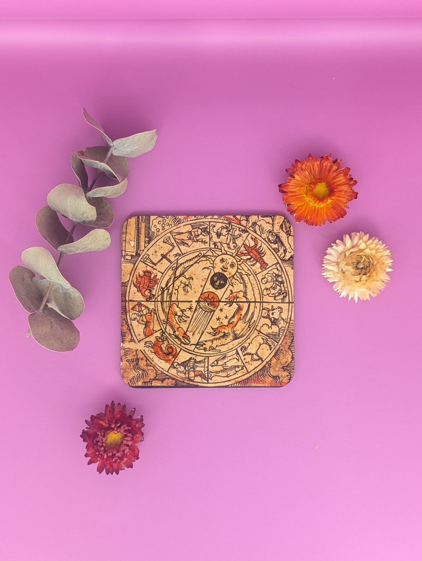 'Medieval Zodiac Chart' Coasters