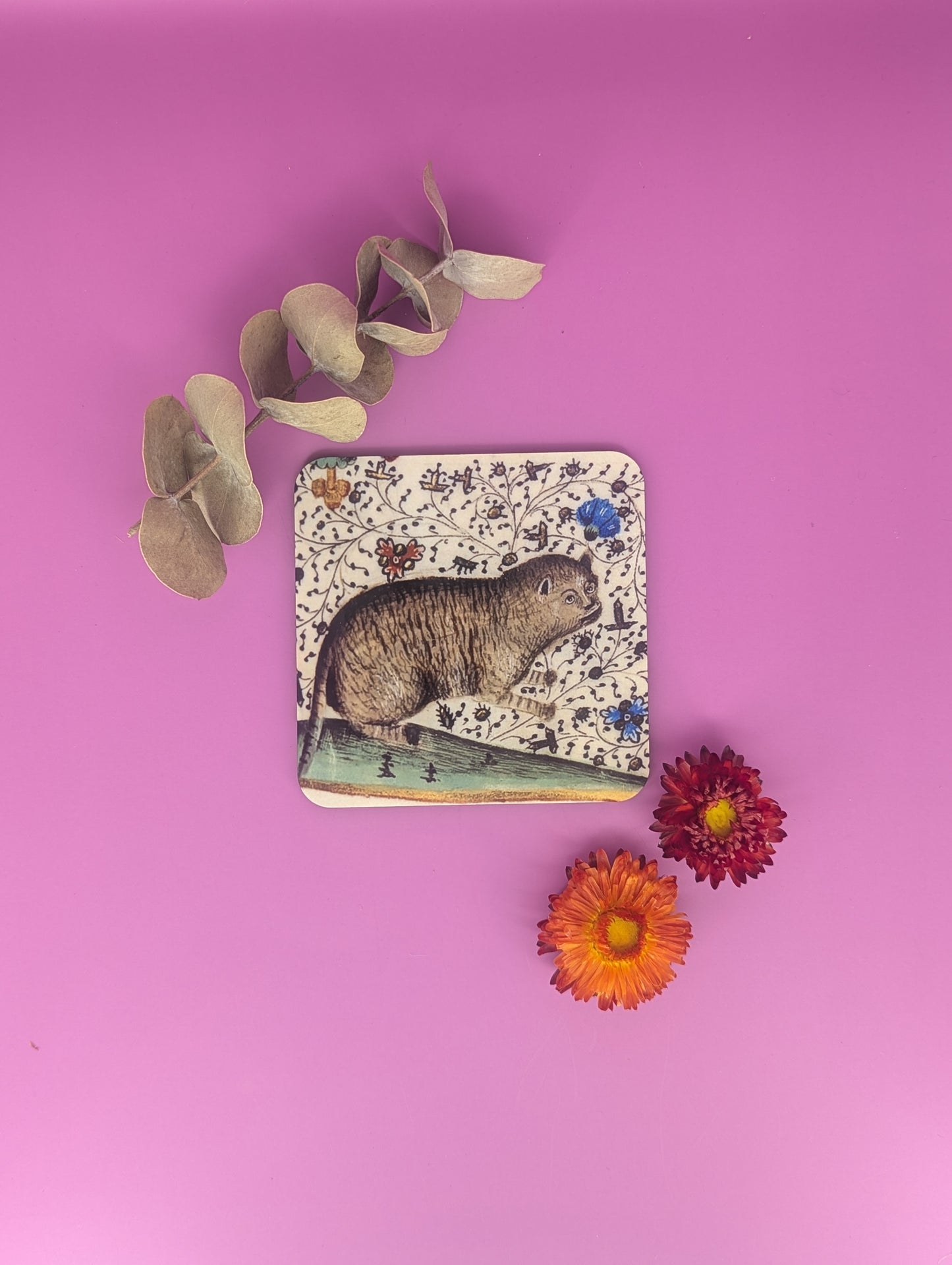 'Medieval Cats' Coasters