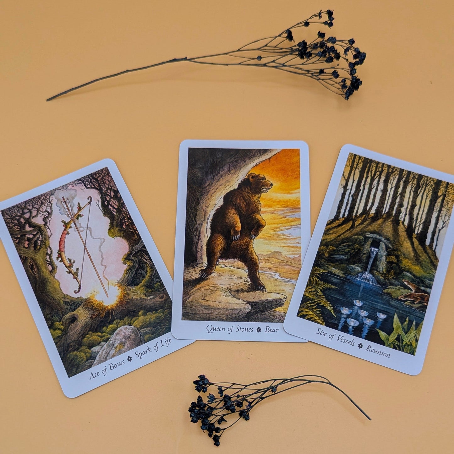 The Wild Wood Tarot