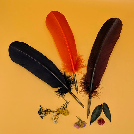 Feather Quill Pen