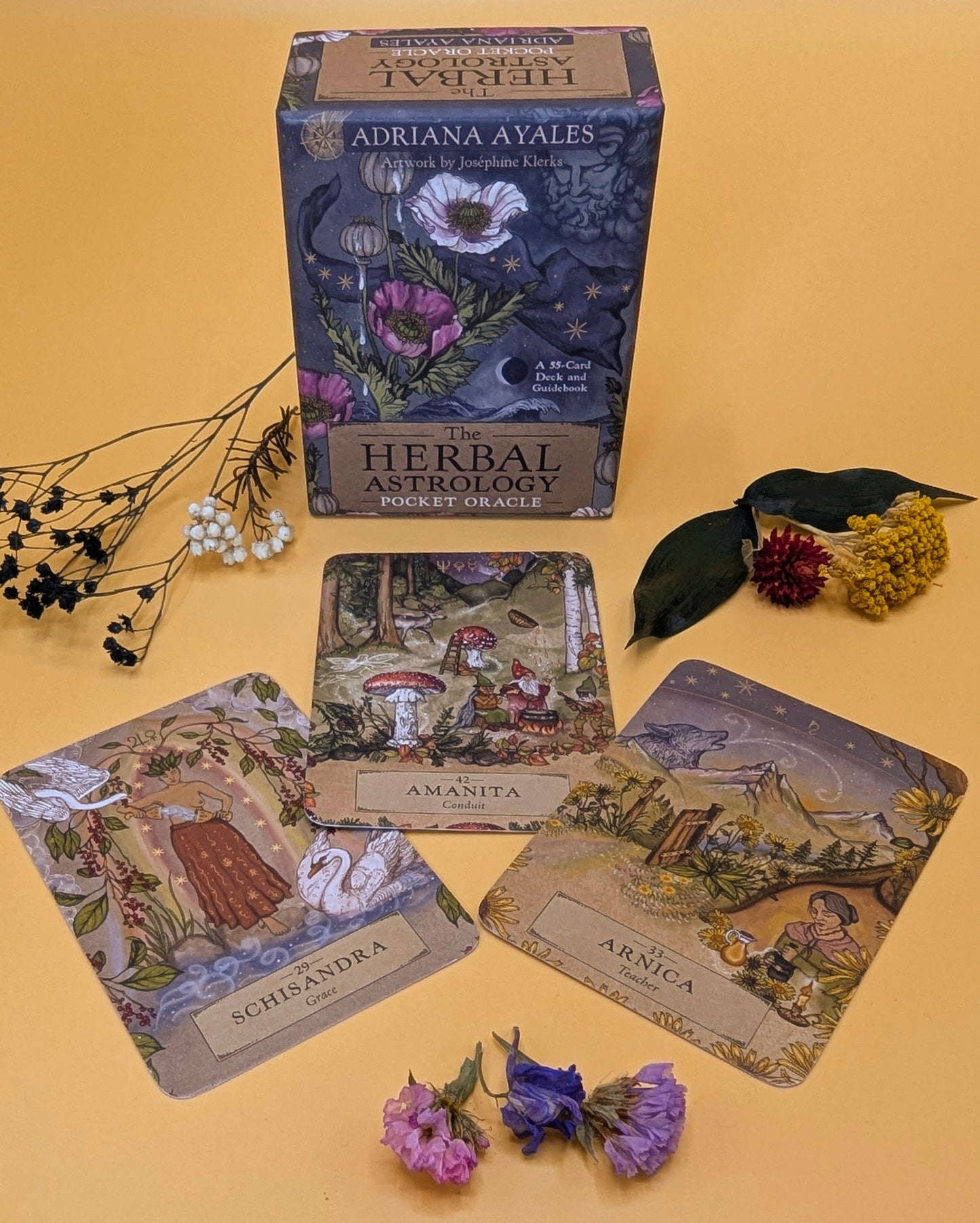 Herbal Astrology Pocket Oracle Deck
