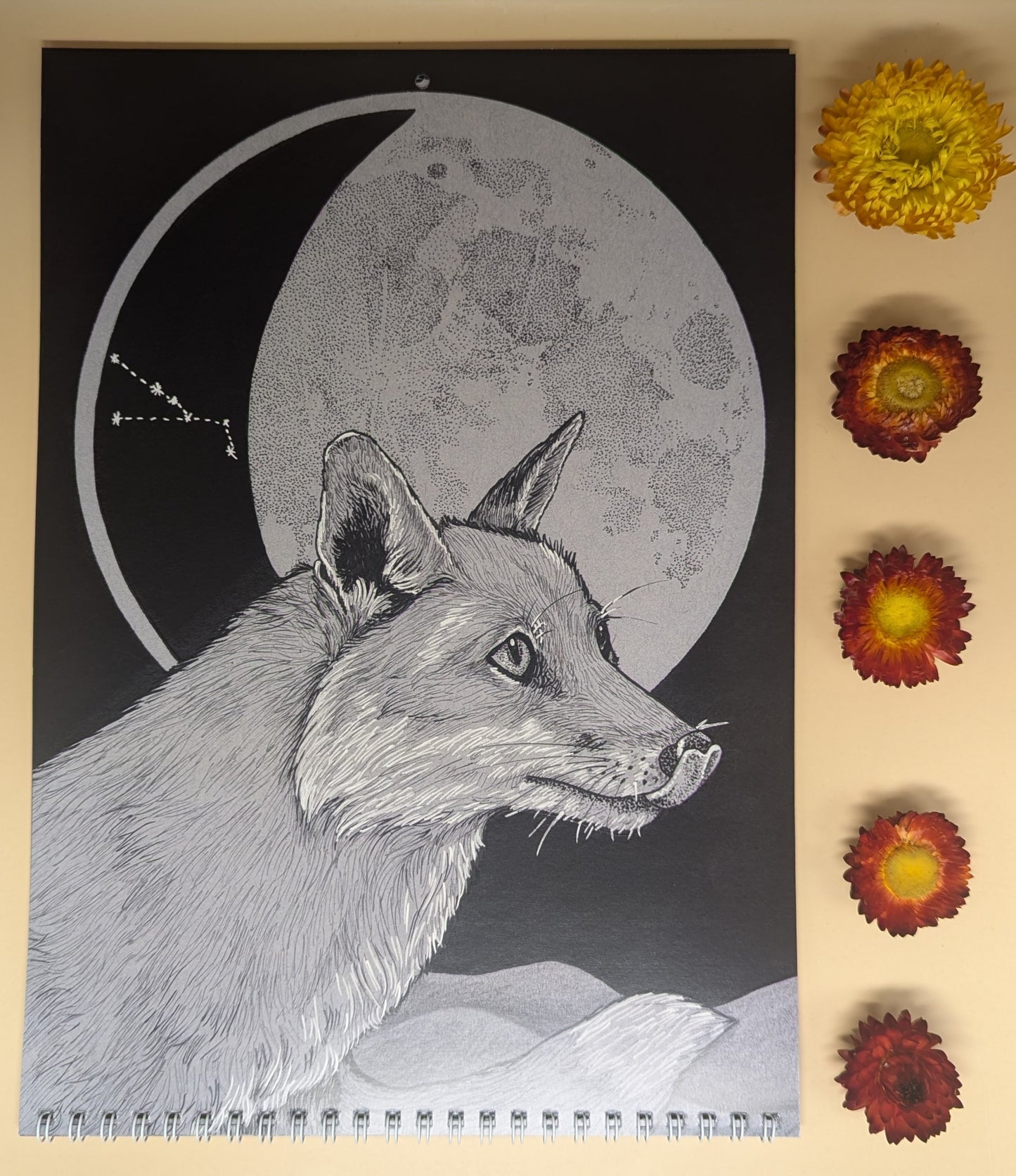 'Lunar Calendar' by Laura Jeacock