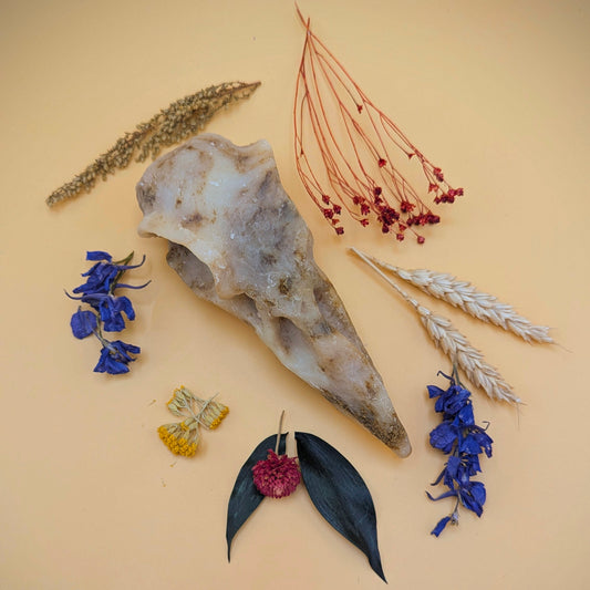 Crow Skull Shower Bar - 'Lemongrass & Ginger'