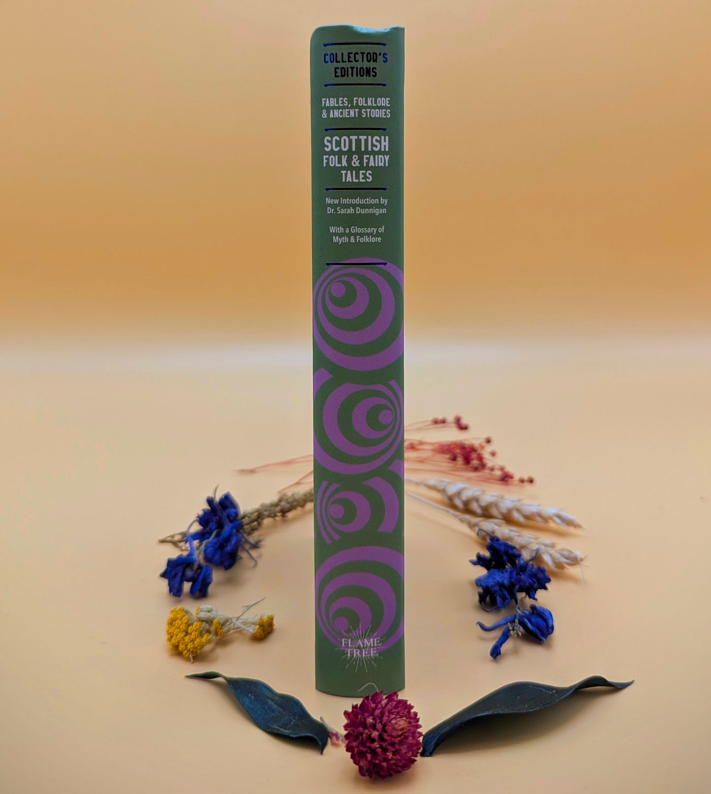 Scottish Folk & Fairytales by J K Jackson
