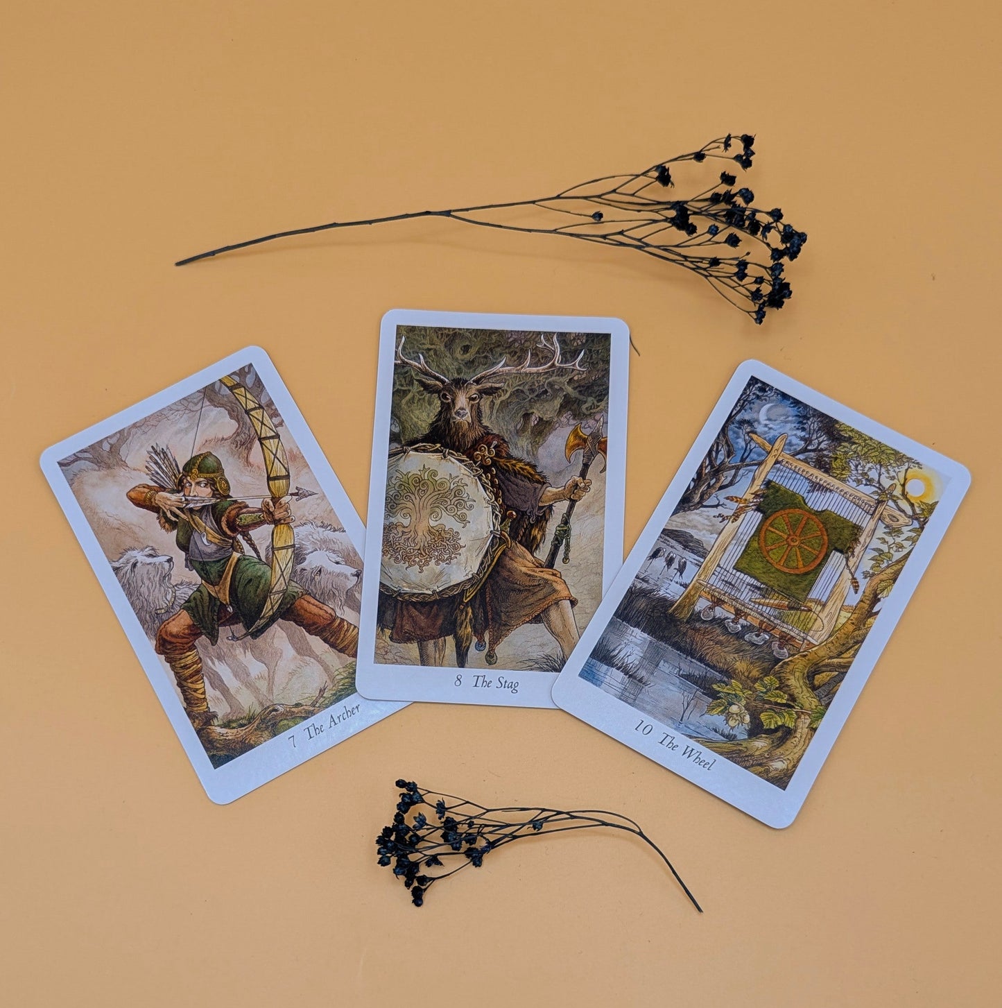 The Wild Wood Tarot