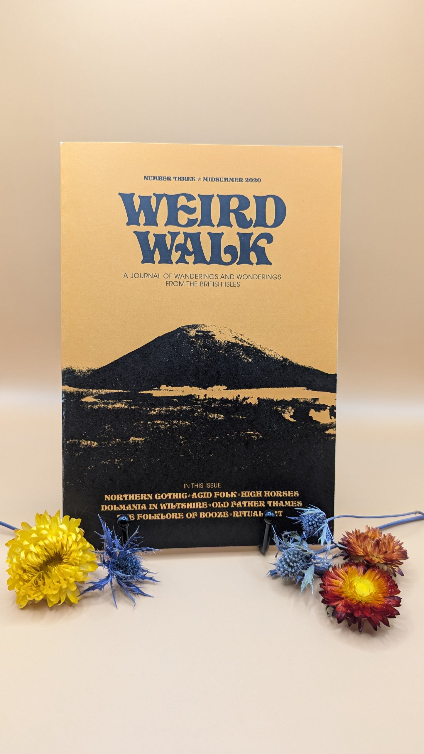 Weird Walk Zine