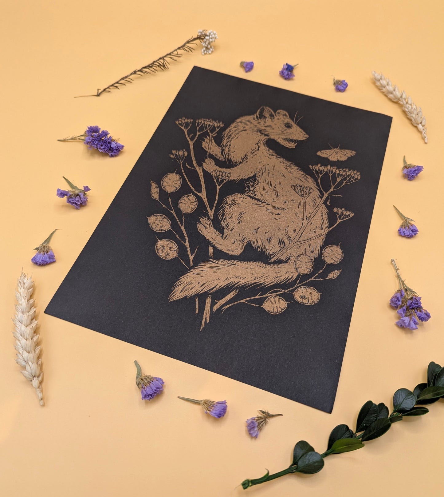 'Pine Marten' Print by Katrin Blackwater