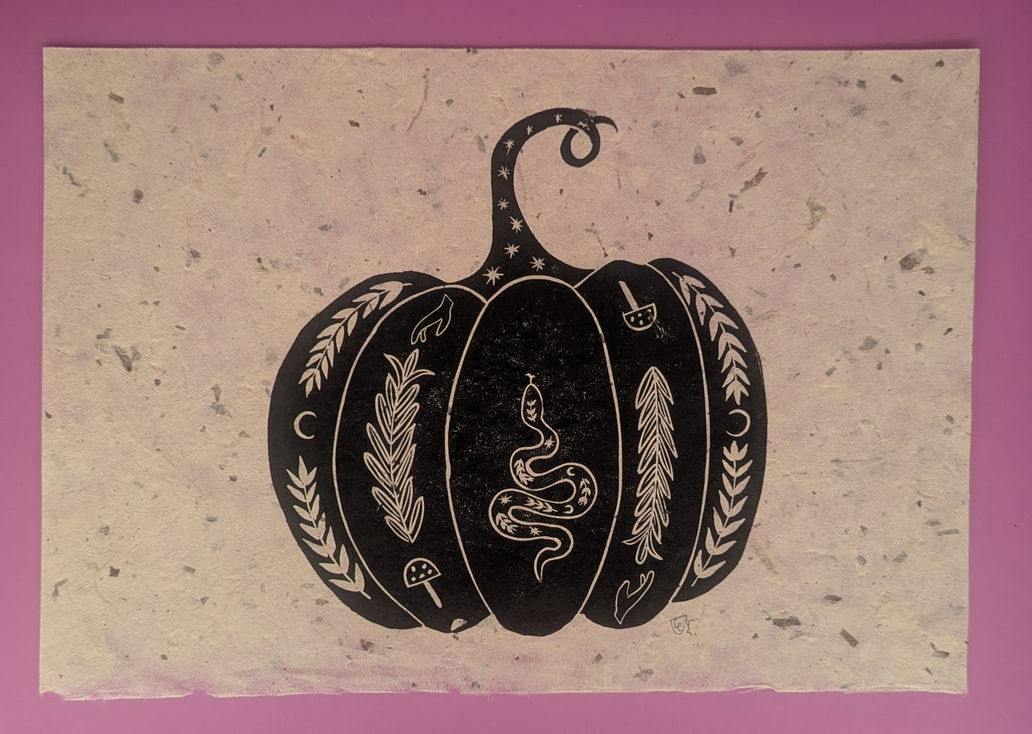 Squash With Snake