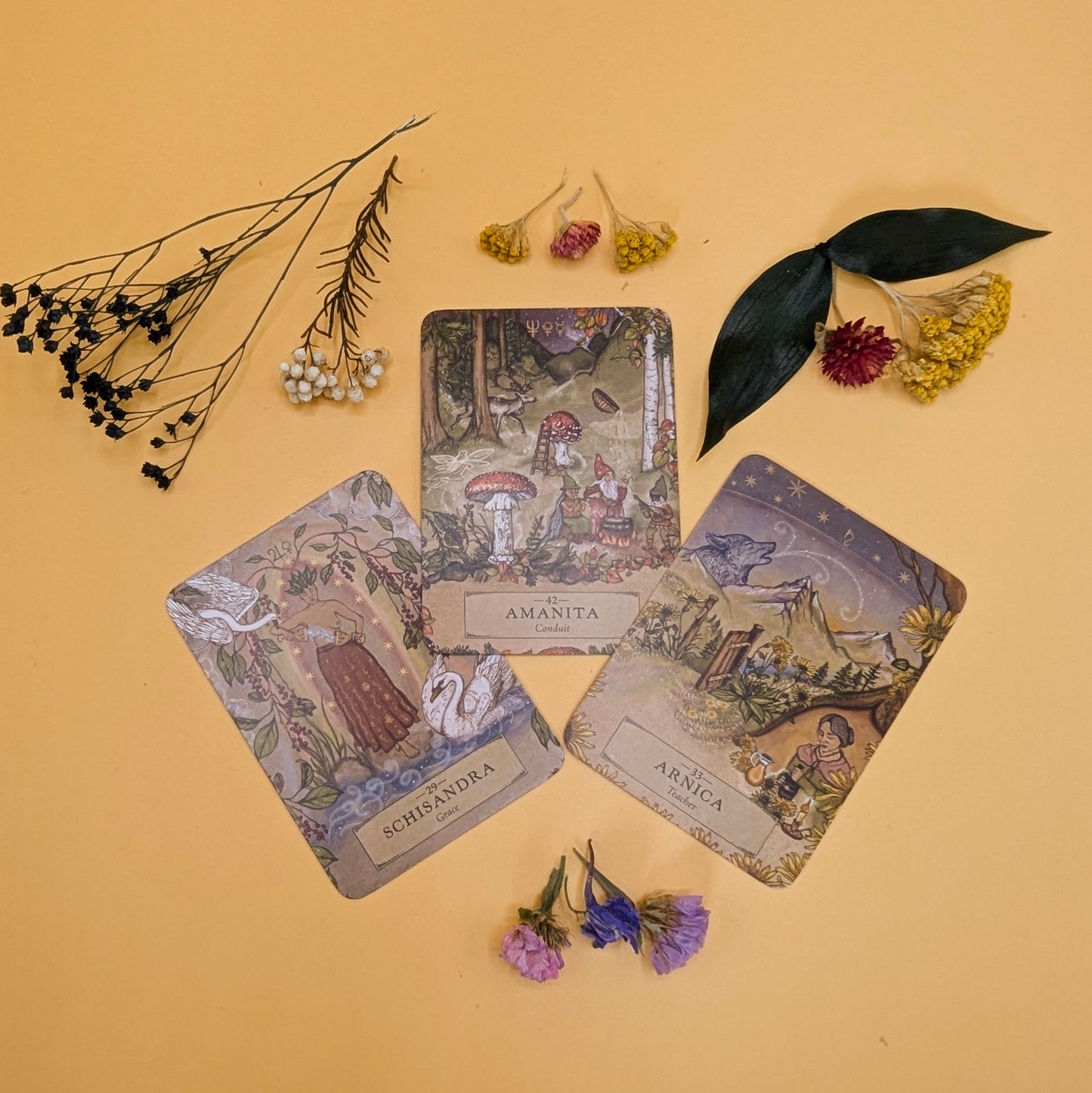 Herbal Astrology Oracle Deck