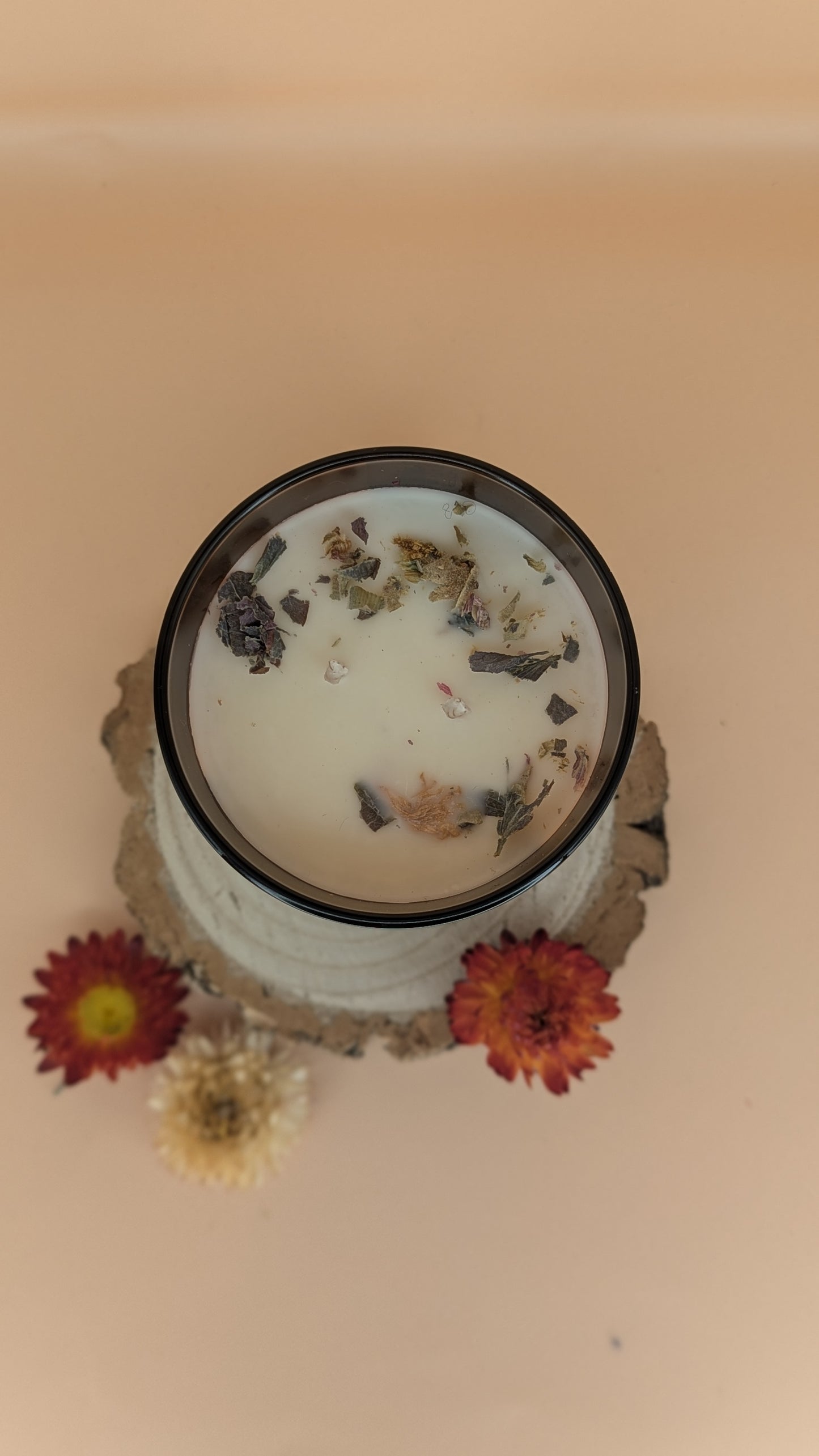 Double Wick Apothecary Candle: "Cat and Cauldron"