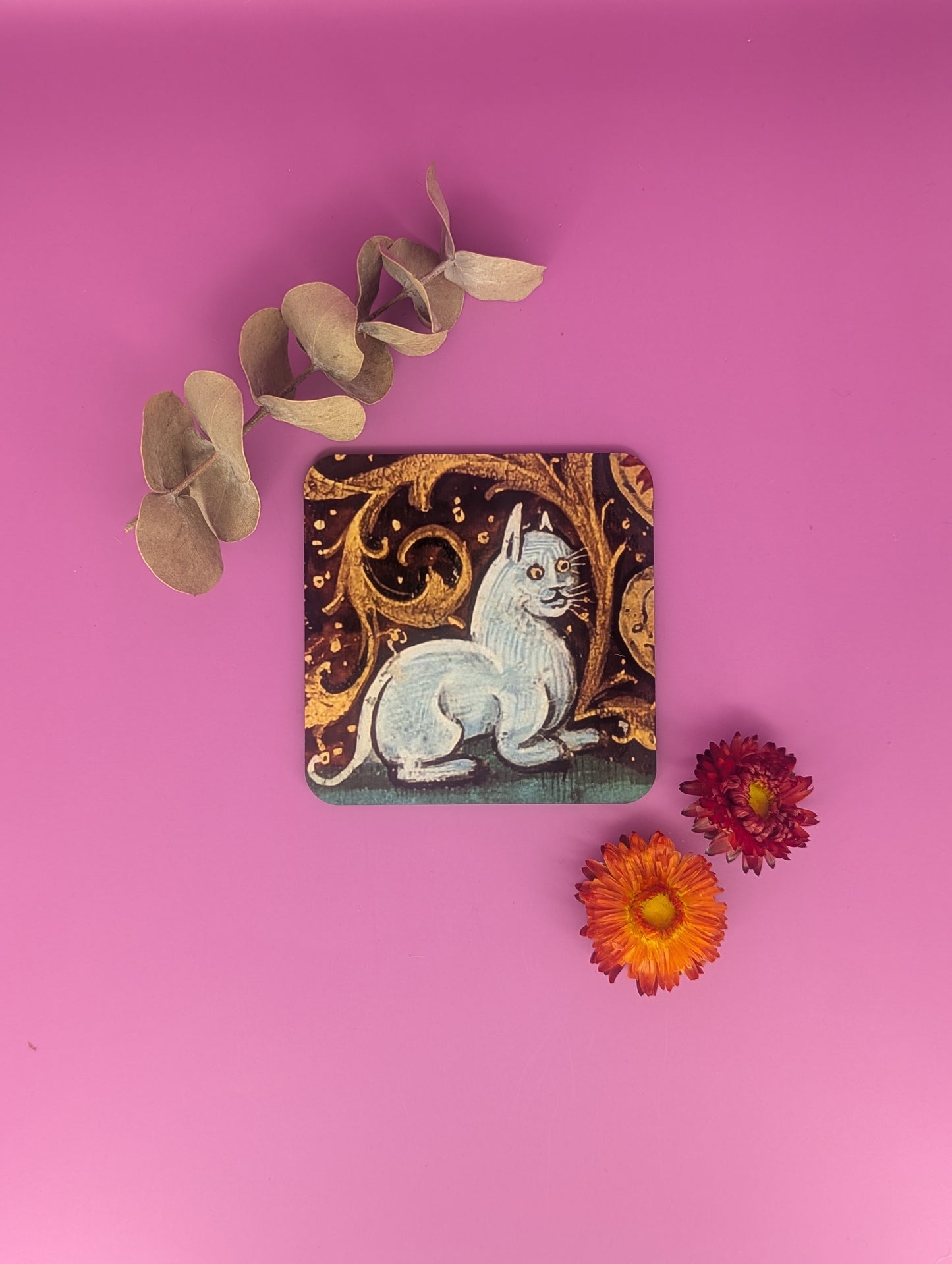 'Medieval Cats' Coasters