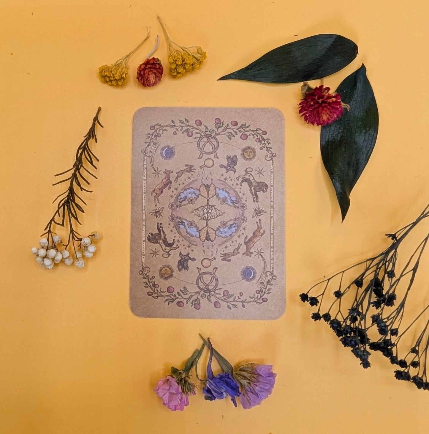 Herbal Astrology Oracle Deck
