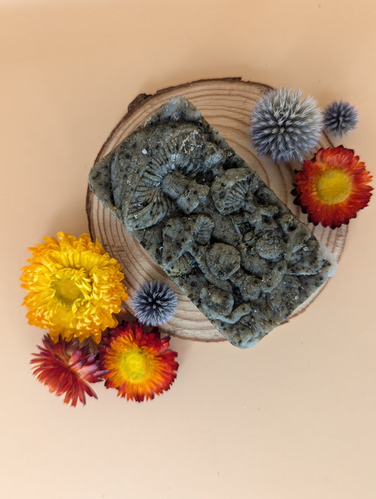 Mushroom Shower Bar - 'Bergamot, Grapefruit and Lime'