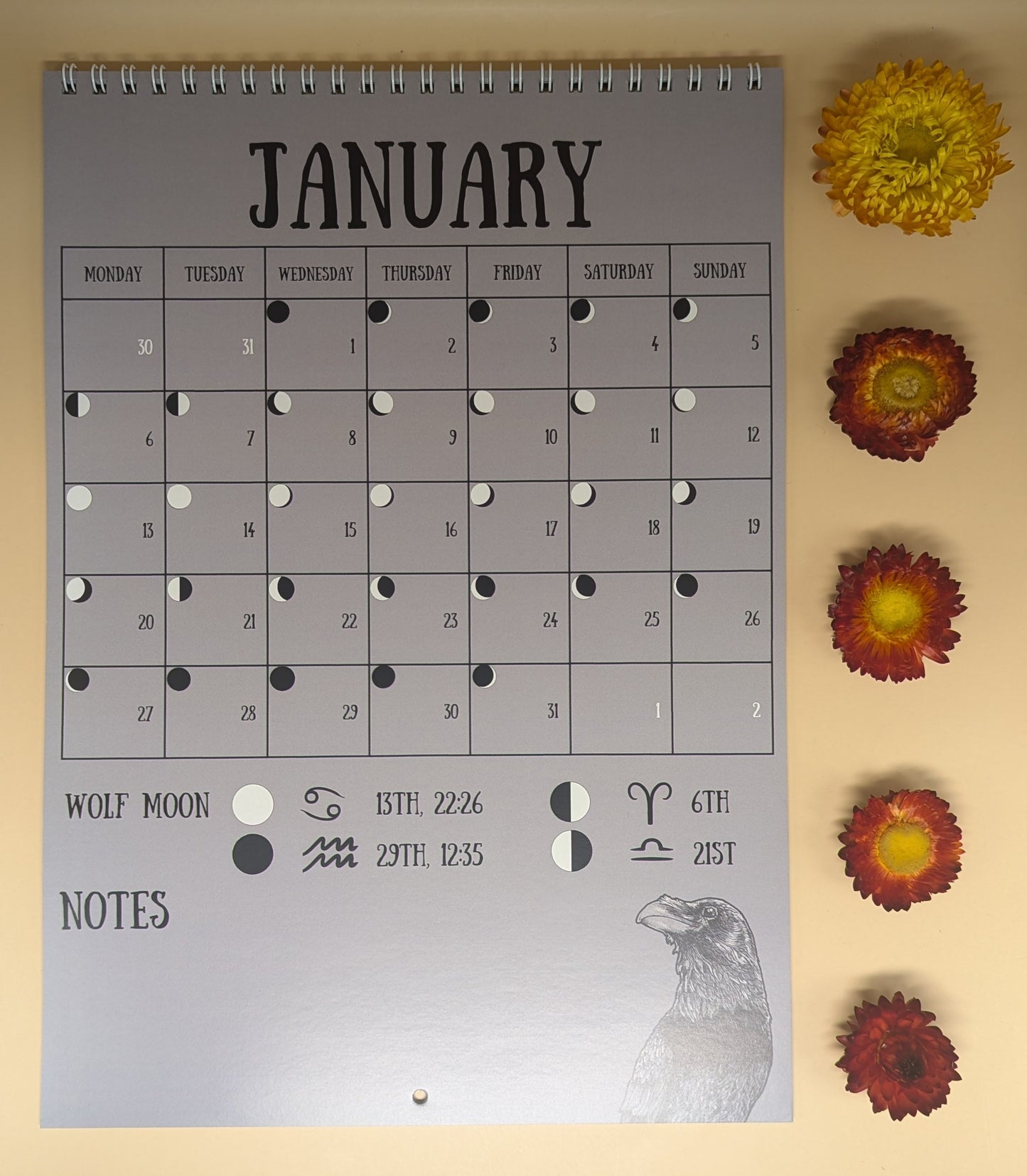 'Lunar Calendar' by Laura Jeacock