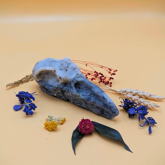 Crow skull Shower Bar - Lavender & Vetiver