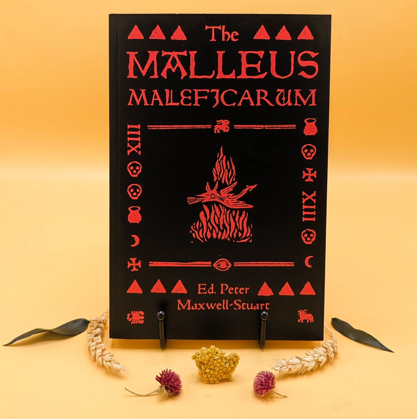 The Malleus Maleficarum (2024 edition)