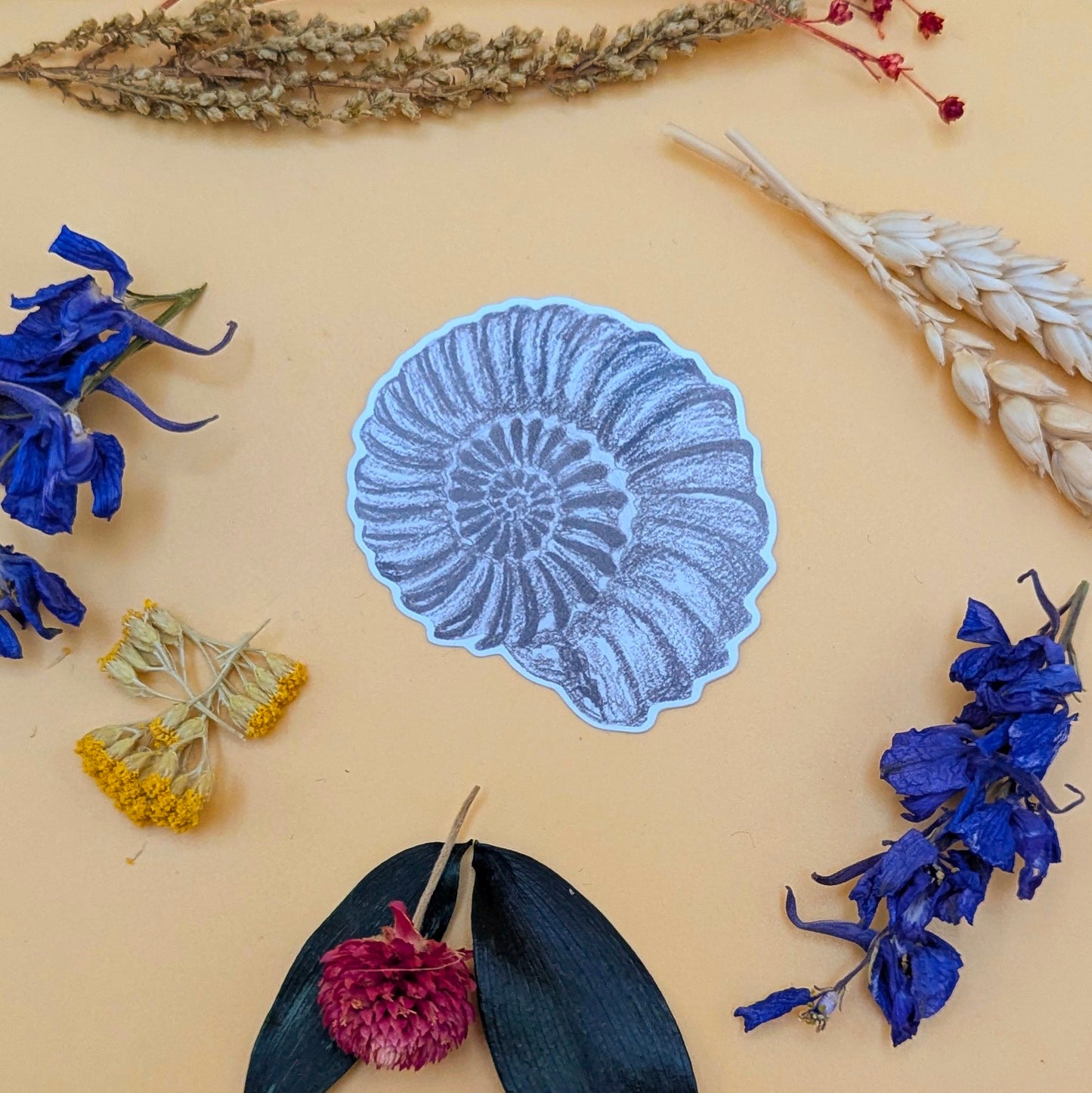 Ammonite Sticker