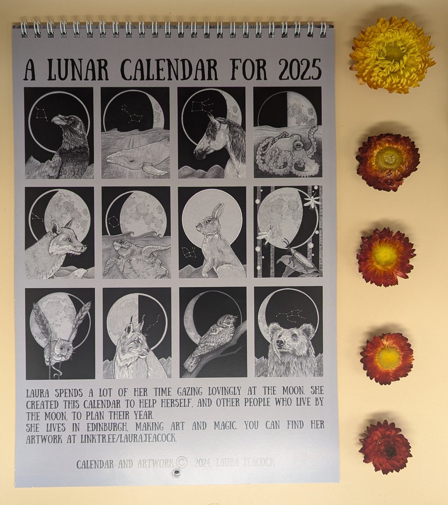 'Lunar Calendar' by Laura Jeacock