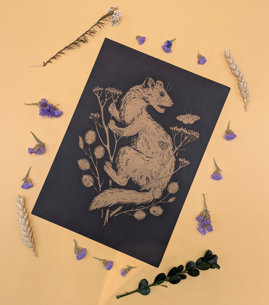 'Pine Marten' Print by Katrin Blackwater