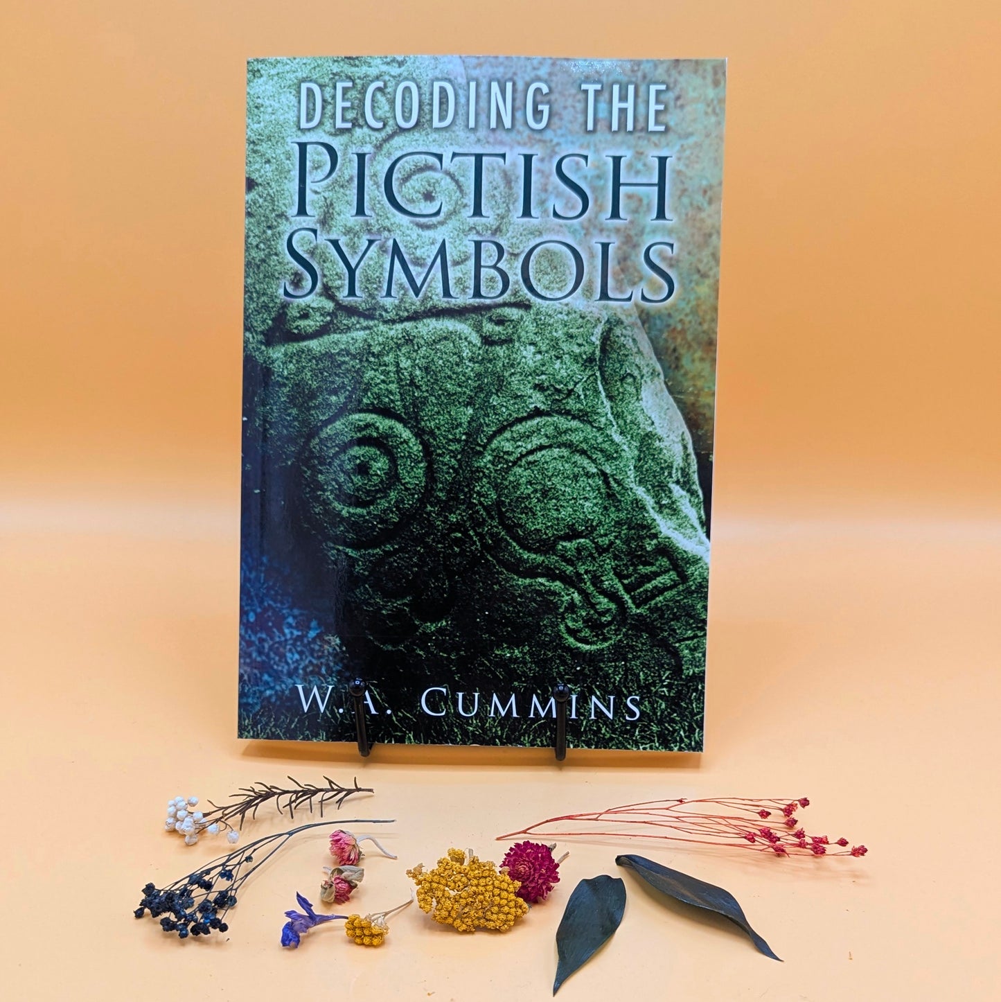 Decoding the Pictish Symbols