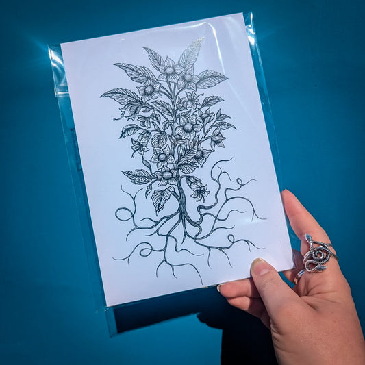 'Deadly Nightshade/Belladonna' A5 Print