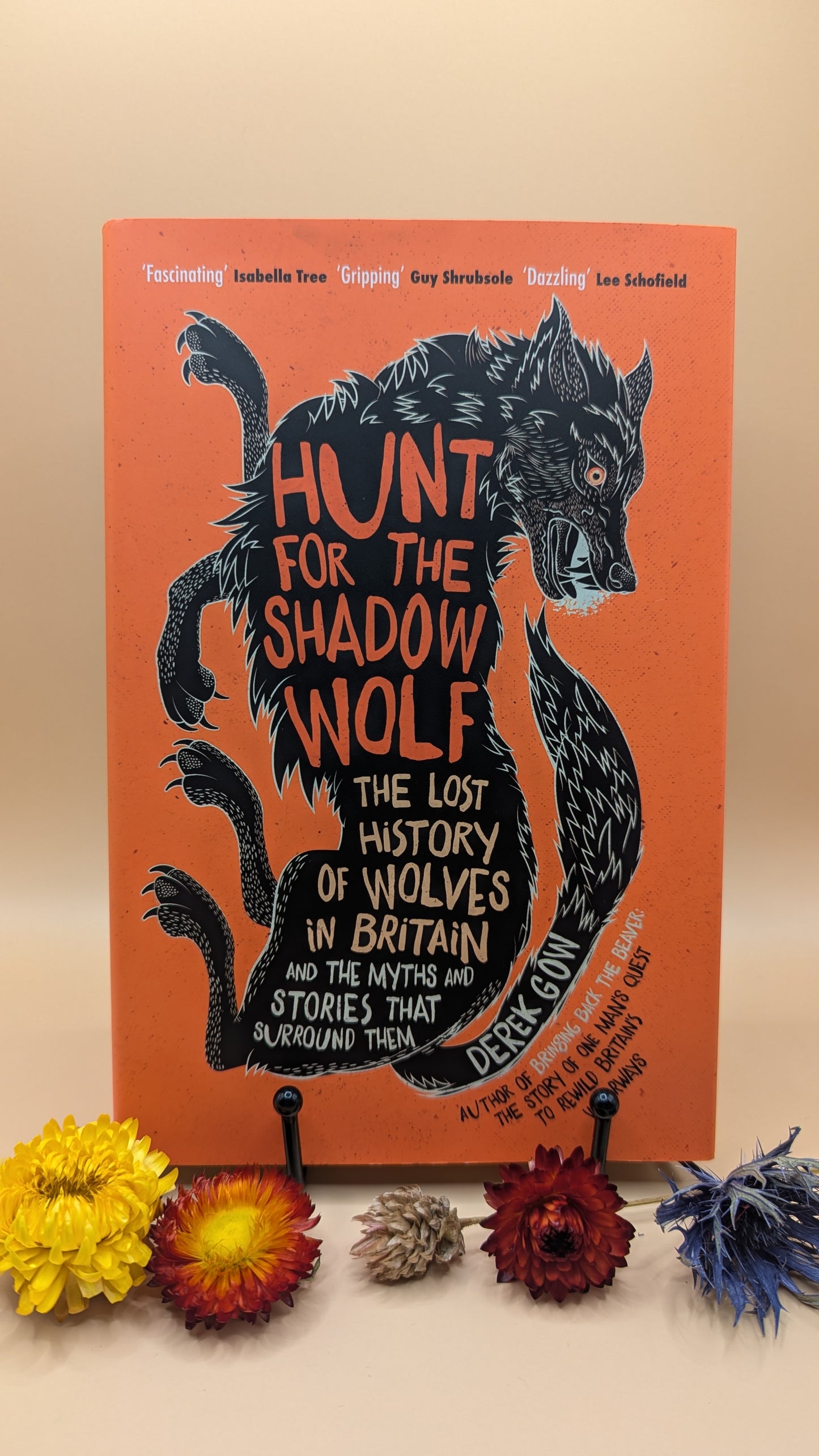 Hunt for The Shadow Shadow Wolf: The Lost History of Wolves in Britain and The Myths and Stories That Surround Them
