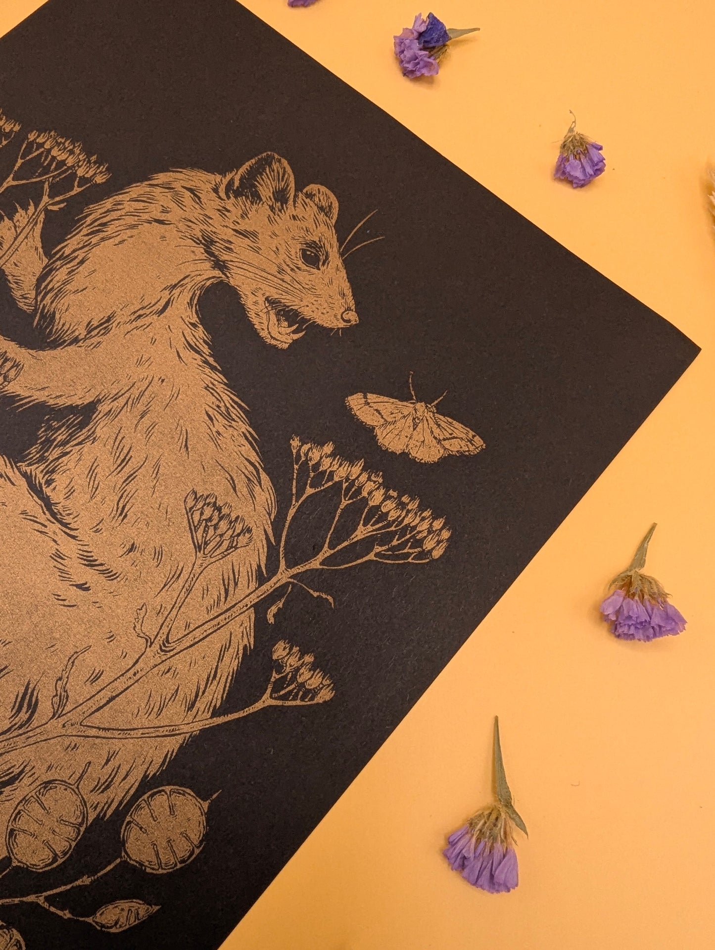 'Pine Marten' Print by Katrin Blackwater