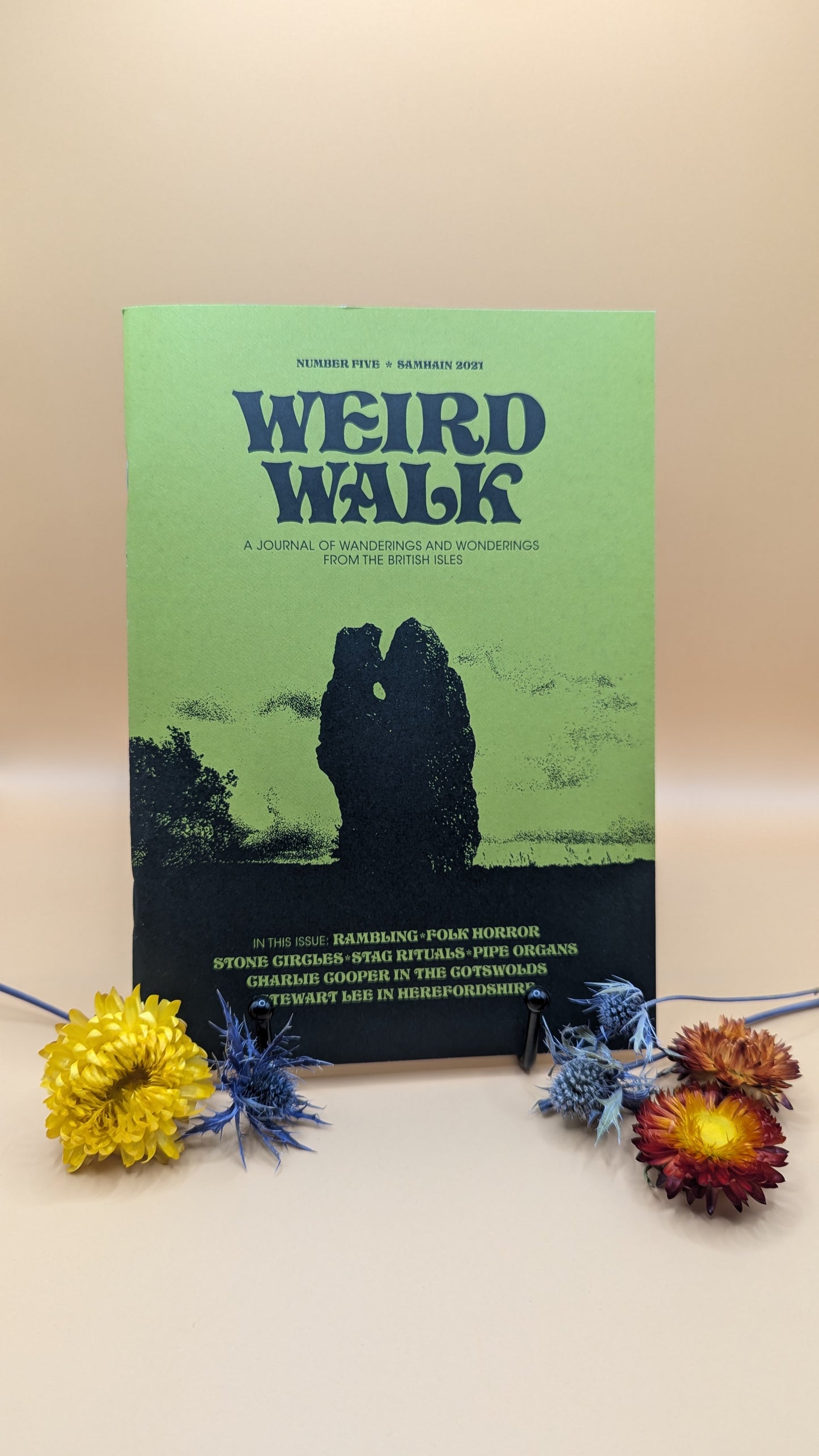 Weird Walk Zine