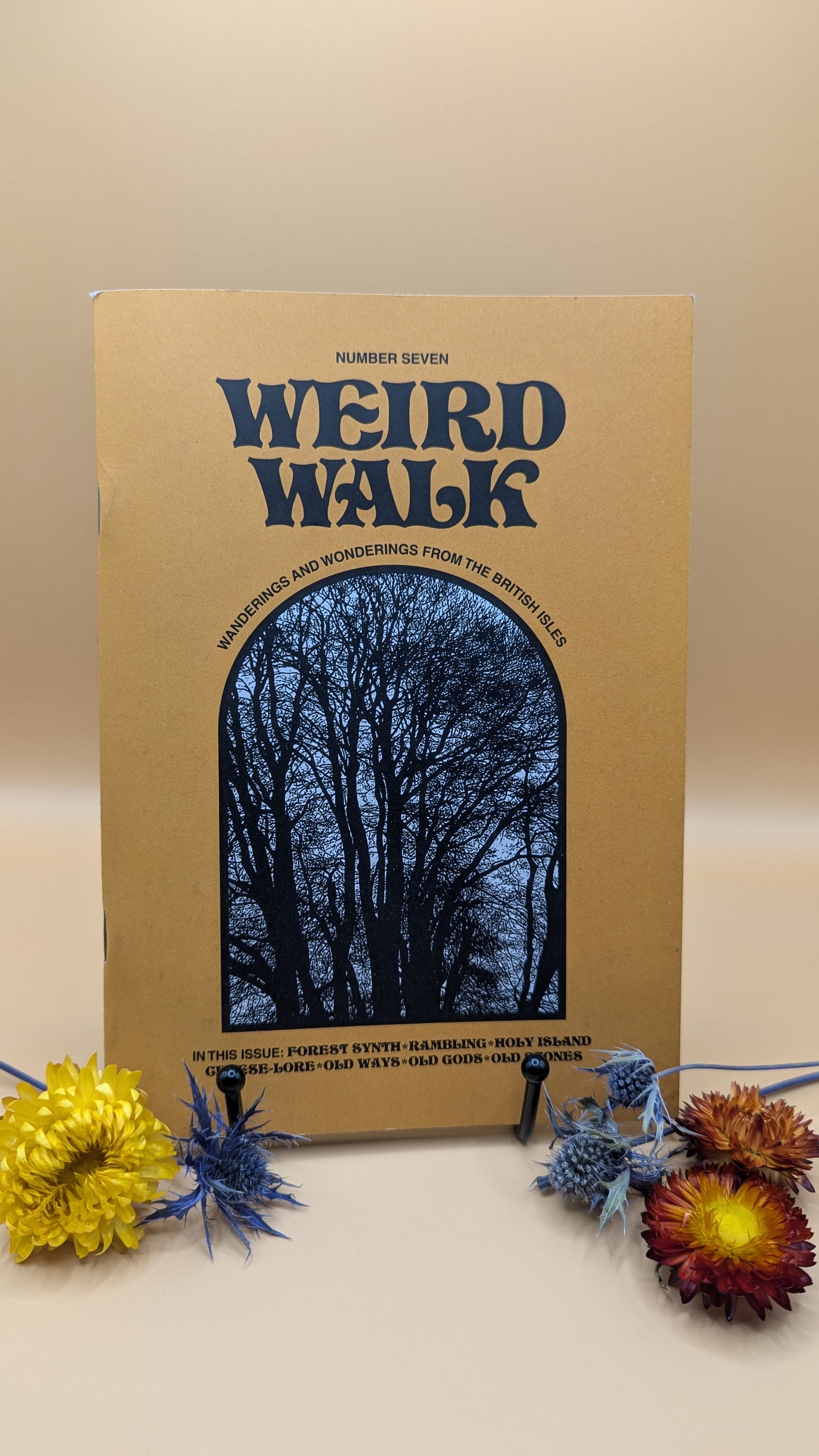 Weird Walk Zine