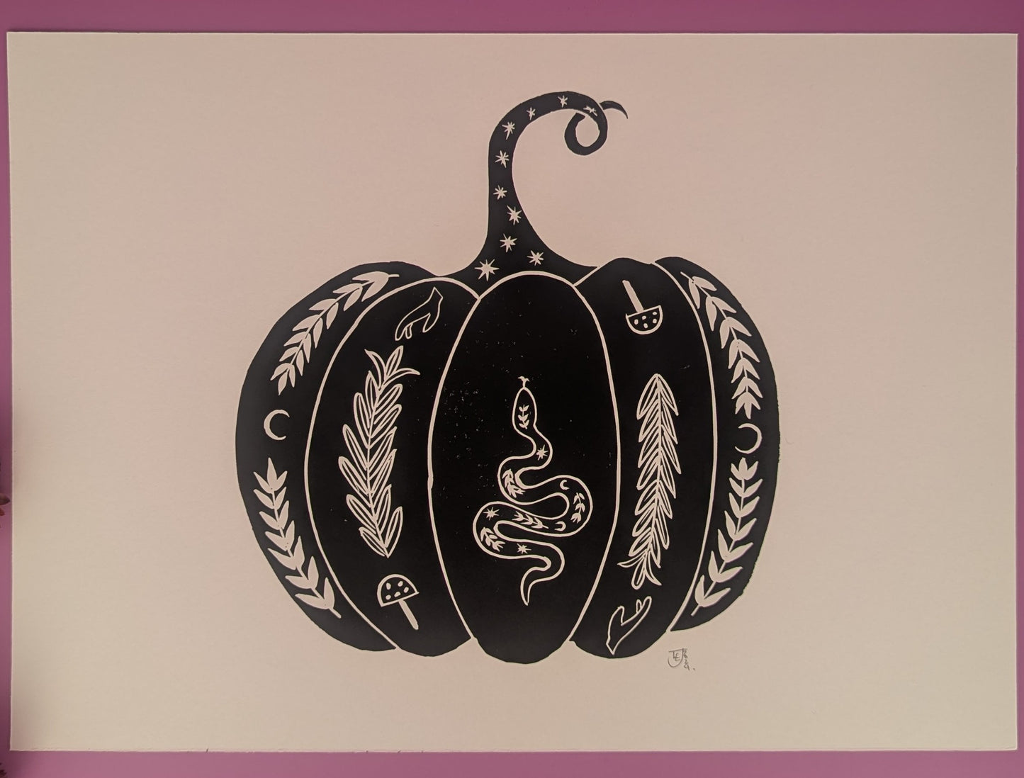 Squash With Snake