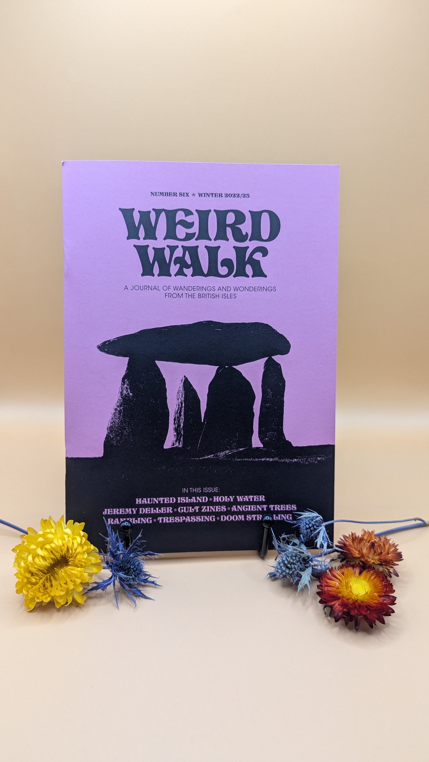 Weird Walk Zine