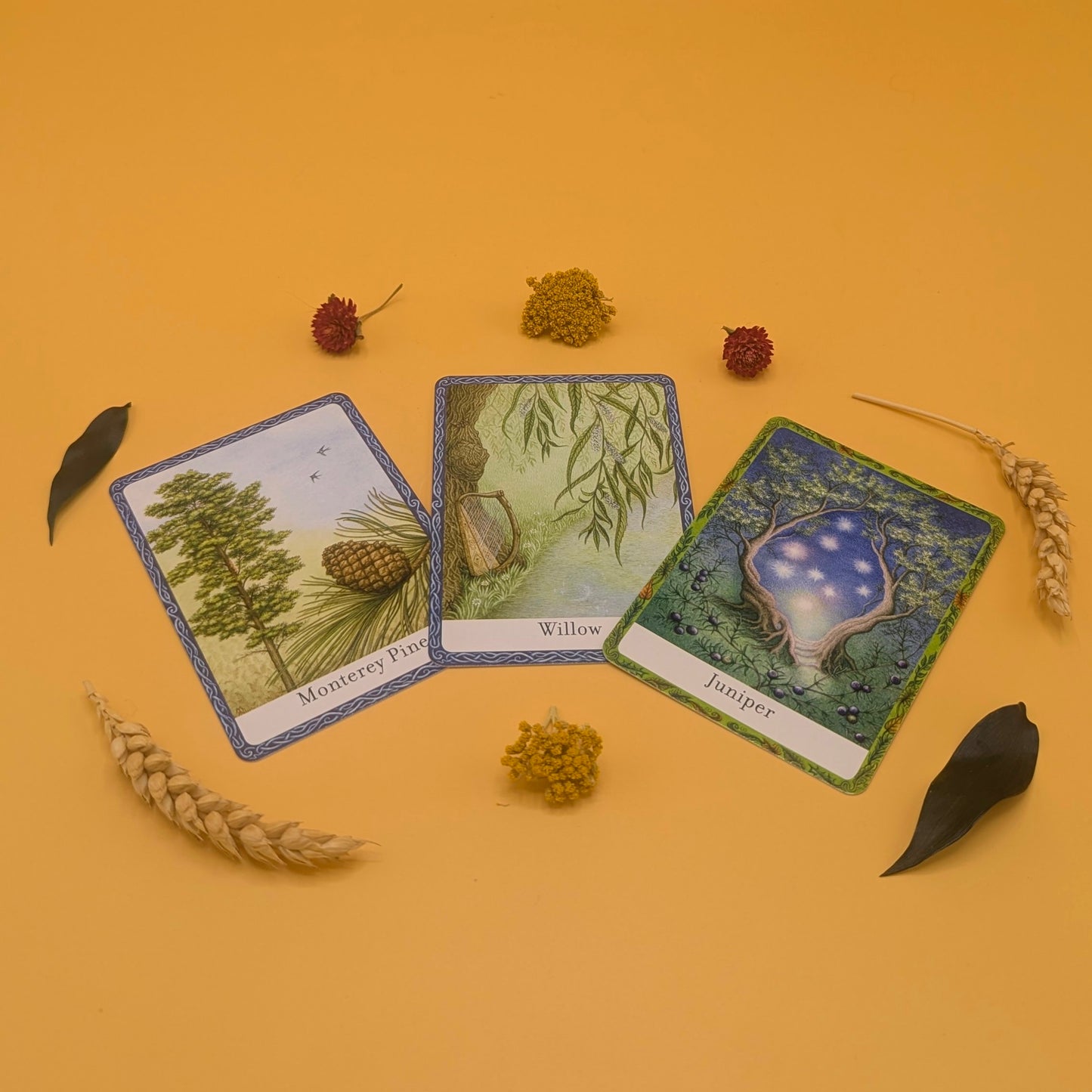 The Wisdom of Trees Oracle